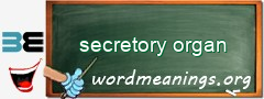 WordMeaning blackboard for secretory organ